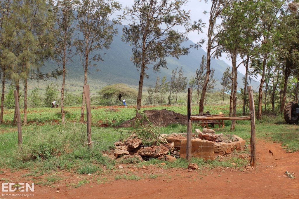 Reforesting Kijabe, Kenya Offset Earth